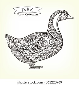 Duck. Hand drawn decorative farm animal. Good for farmers market invitation, labels. Vector illustration. This illustration can be used as a print on T-shirts and bags.