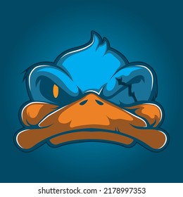 Duck head looks fierce with one eye injured