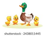 Duck with her cute ducklings. Vector cartoon illustration