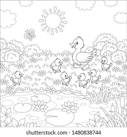 Duck with her little ducklings walking on grass among flowers near a small pond with water lilies of a summer meadow on a sunny day, black and white vector illustration in a cartoon style