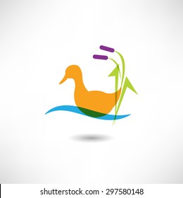 Duck icon