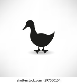 Duck icon