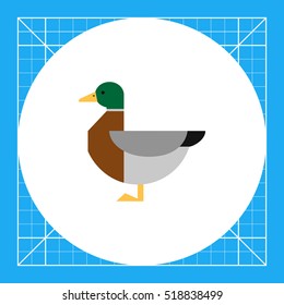 Duck icon