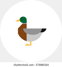 Duck icon