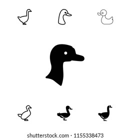 Duck icon. collection of 7 duck filled and outline icons such as . editable duck icons for web and mobile.