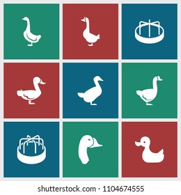 Duck icon. collection of 9 duck filled icons such as goose. editable duck icons for web and mobile.