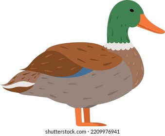 Duck icon. Farm bird. Domestic animal character