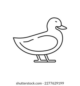 Duck icon. High quality black vector illustration.