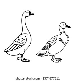 Duck icon illustration isolated on white background sign symbol. Duck vector outline