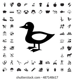 Duck icon illustration isolated vector sign symbol