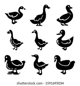 duck icon isolated sign symbol vector illustration - Collection of high quality black style vector icons
