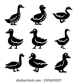 duck icon isolated sign symbol vector illustration - Collection of high quality black style vector icons
