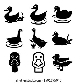 duck icon isolated sign symbol vector illustration - Collection of high quality black style vector icons
