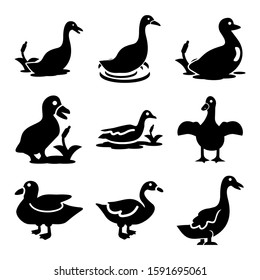 duck icon isolated sign symbol vector illustration - Collection of high quality black style vector icons
