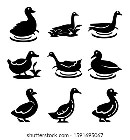 duck icon isolated sign symbol vector illustration - Collection of high quality black style vector icons
