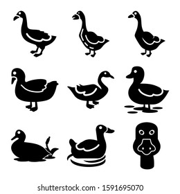 duck icon isolated sign symbol vector illustration - Collection of high quality black style vector icons
