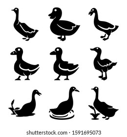 duck icon isolated sign symbol vector illustration - Collection of high quality black style vector icons
