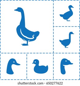 Duck icon. set of 6 duck filled icons such as goose