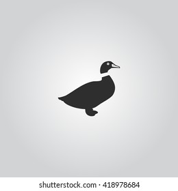 Duck icon vector