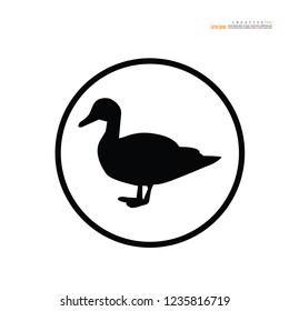 Duck  icon. Vector illustration.
