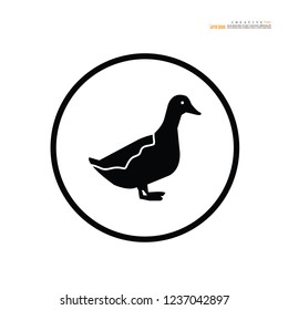 Duck  icon. Vector illustration.

