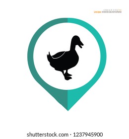Duck  icon. Vector illustration.
