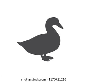 Duck icon. vector duck illustration.  Goose icon. 