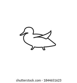 Duck icon, vector illustration on white background