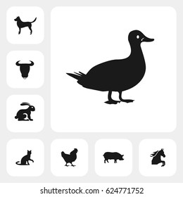 duck icon. vector sign symbol on white background