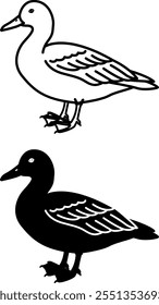 Iconos de pato. Ilustración vectorial en blanco y negro. Aves acuáticas. Agricultura, agricultura. Para el diseño de libros para colorear. Concepto de animales domésticos