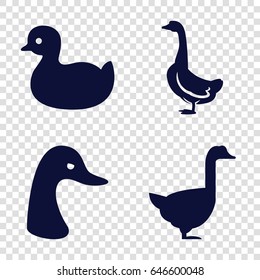 Duck icons set. set of 4 duck filled icons such as goose