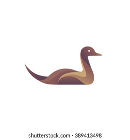 Duck illustration