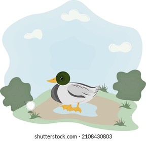 duck illustration in the meadow
