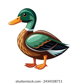 Duck illustration on White Background