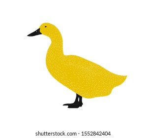 Duck illustration silhouette. Isolated black and yellow animal illustration. Vector Illustration. Line art drawing, modern design. Farm element.