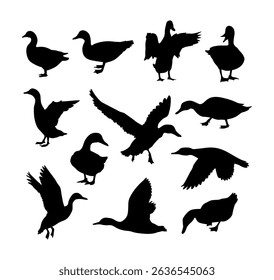 duck illustration silhouette vector set