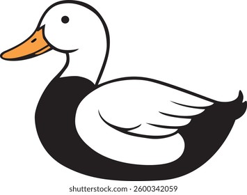 Duck image  vector illustration design