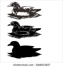 Duck incubating eggs black and white