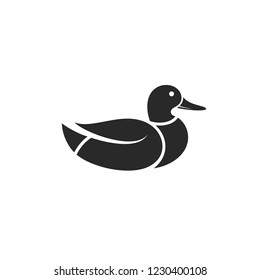 Duck. Isolated bird 