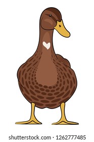 Duck isolated on white background. Vector illustration.