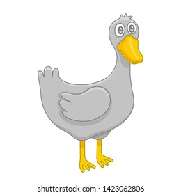 Duck. isolated on white background