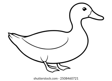 pato isolado em fundo branco