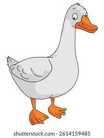 Duck isolated on white background