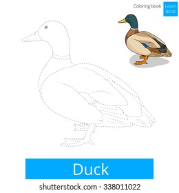 Duck learn birds educational game learn to draw vector illustration