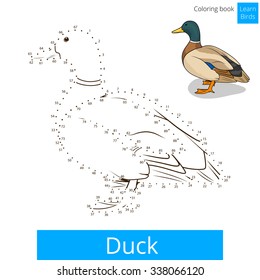 Duck learn birds educational game learn to draw vector illustration