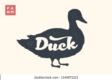 Duck. Lettering, typography. Animal silhoutte duck and lettering Duck. Creative graphic design for butcher shop, farmer market. Vintage poster for meat related theme. Vector Illustration