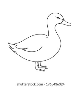 Duck line drawing. Minimalistic style for logo, icons, emblems, template, badges. Isolated on white background.
