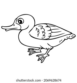 duck line vector illustration,isolated on white background,top view