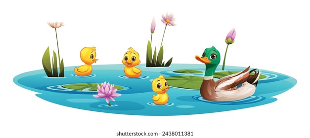 Duck and little ducklings swimming in the pond. Vector cartoon illustration