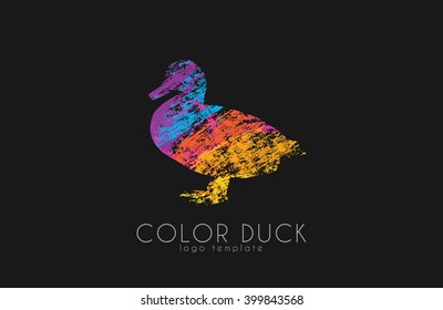 Duck logo.  Color duck logo. Bird logo